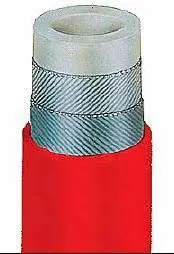 Imagem ilustrativa de Mangueira cervejeira